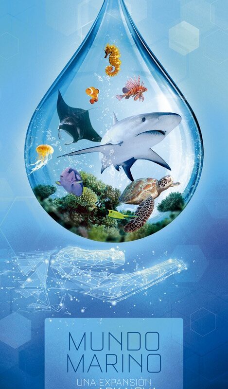 Ark Nova Mundo Marino